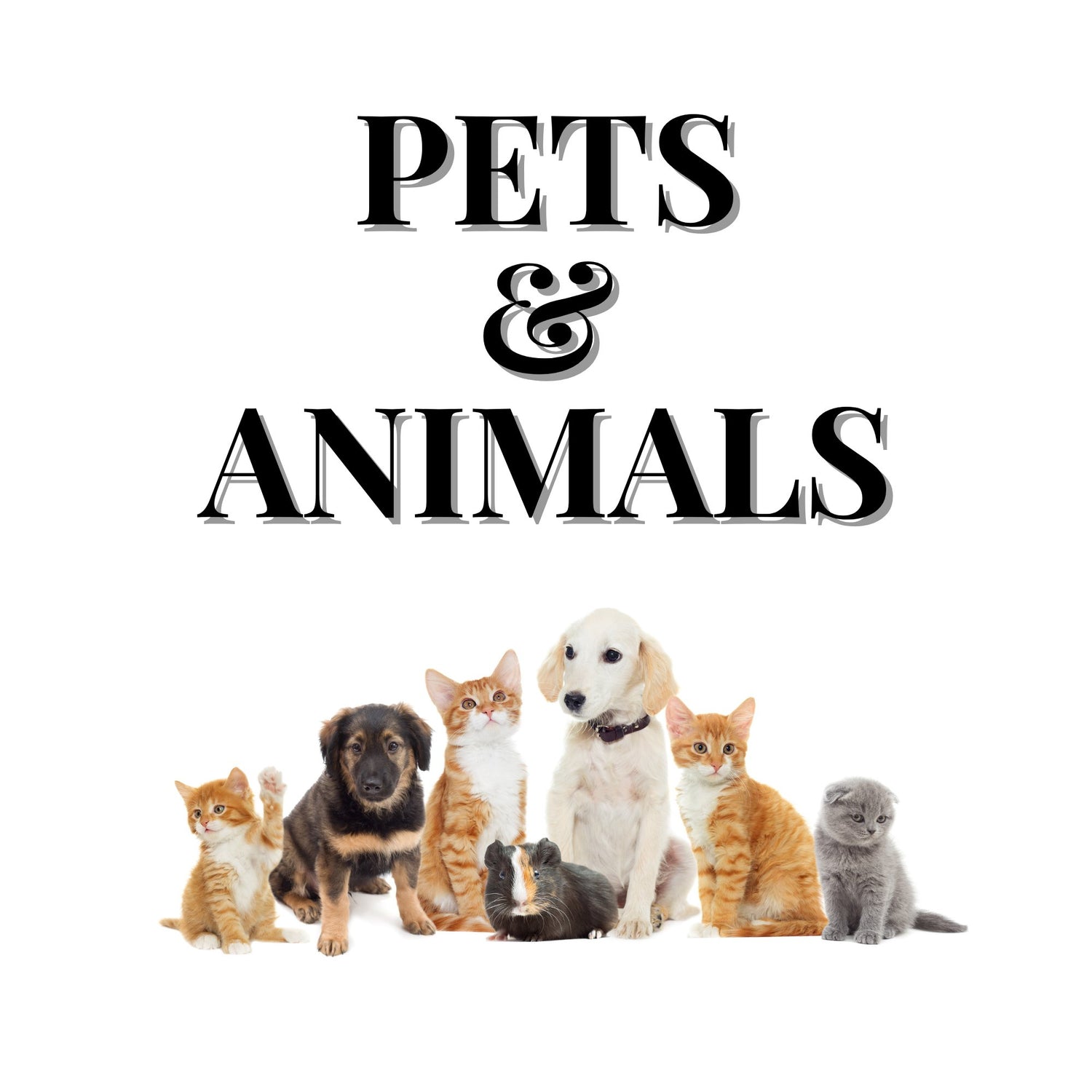 Pets and Animals