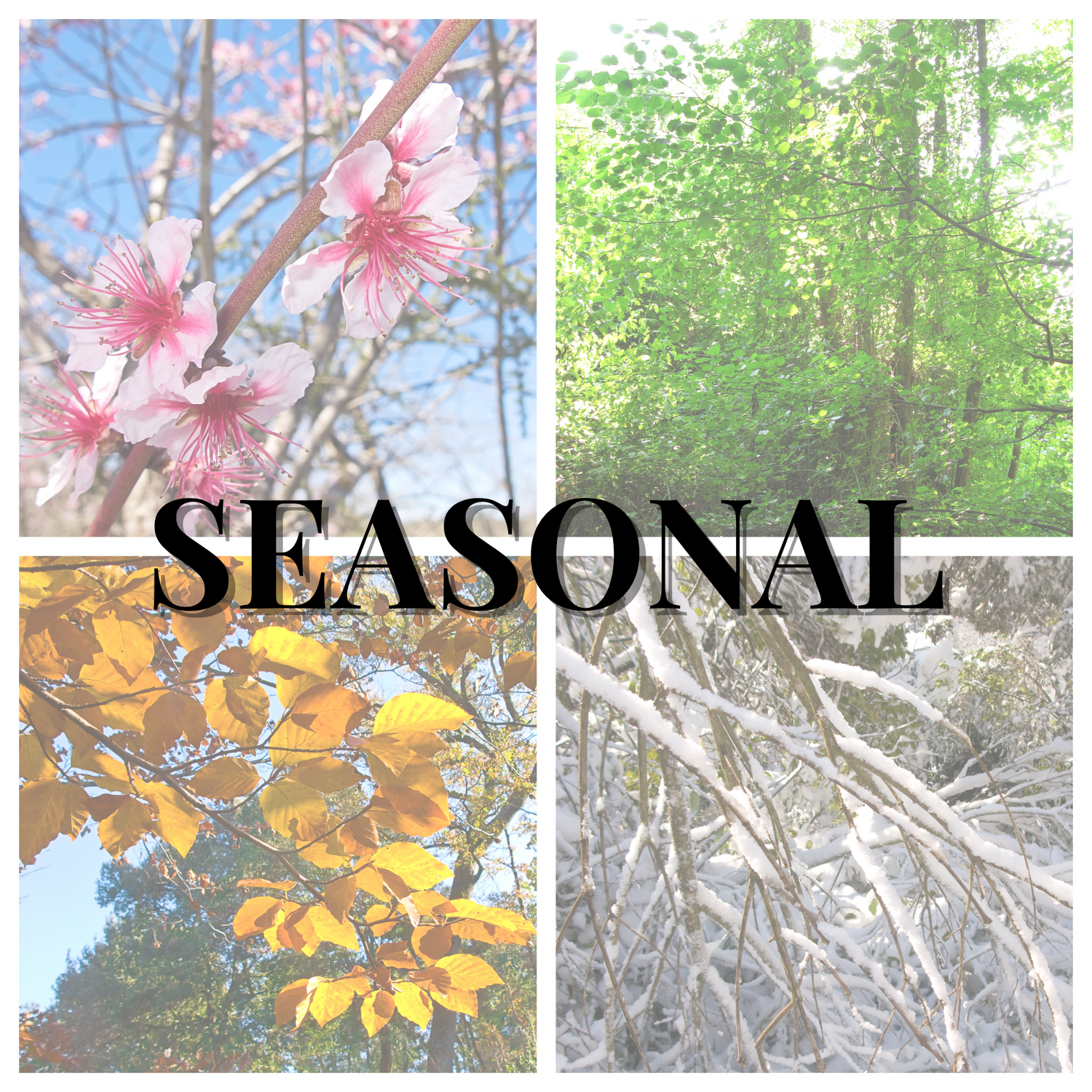 Seasonal