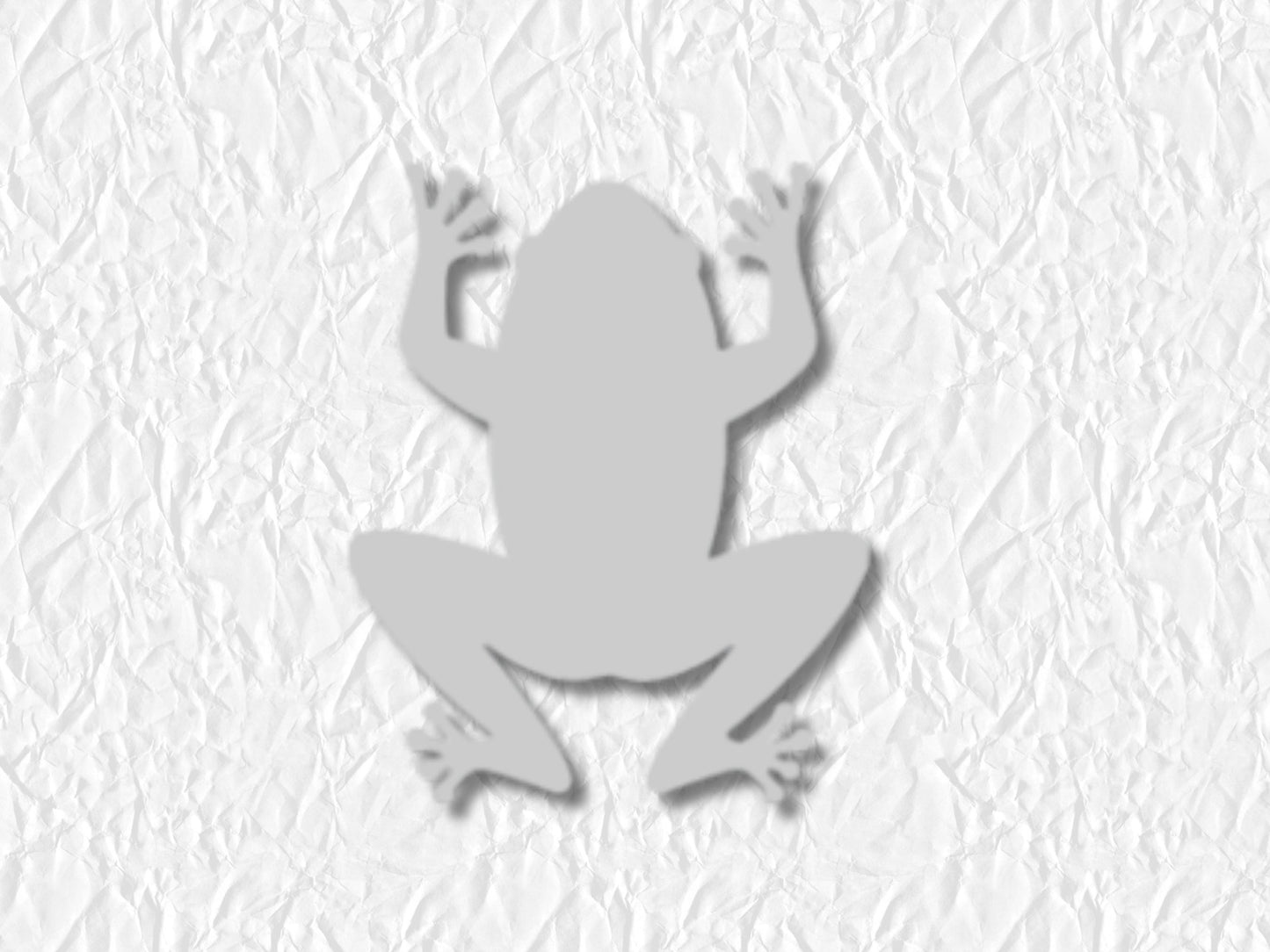 Frog Sticker Sheet Vinyl Stickers Journal Planner Stickers 21 Pack