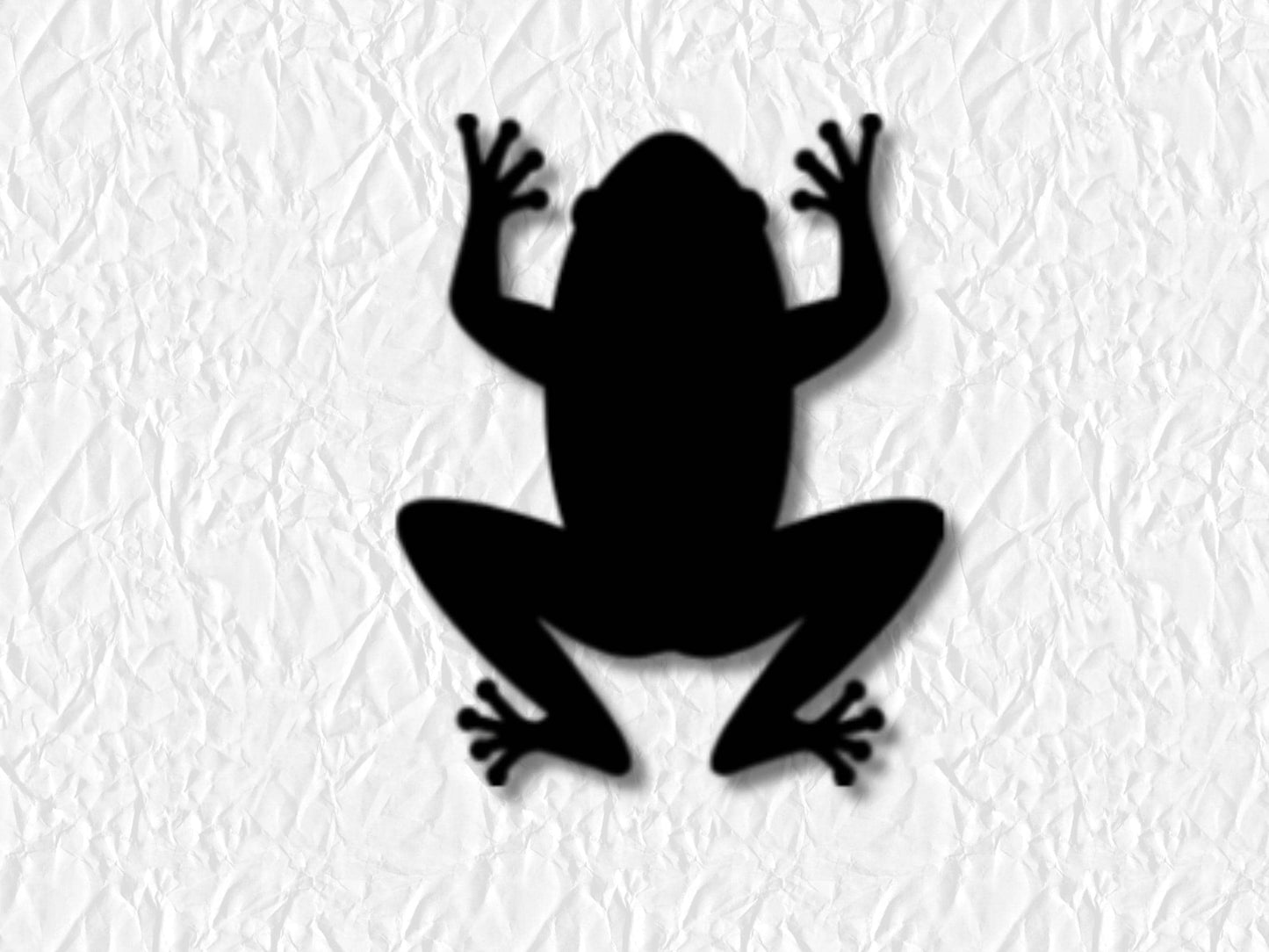 Frog Sticker Sheet Vinyl Stickers Journal Planner Stickers 21 Pack