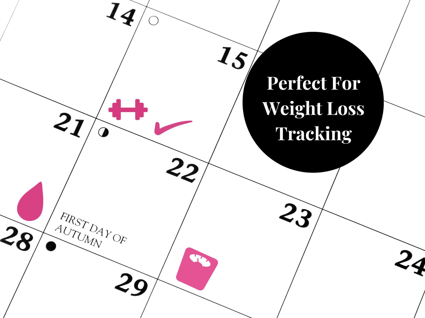 Weight Loss and Fitness Planner Sticker Bundle